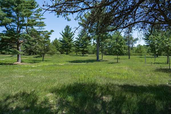 5 Acres of Land for Sale in Hancock, Wisconsin