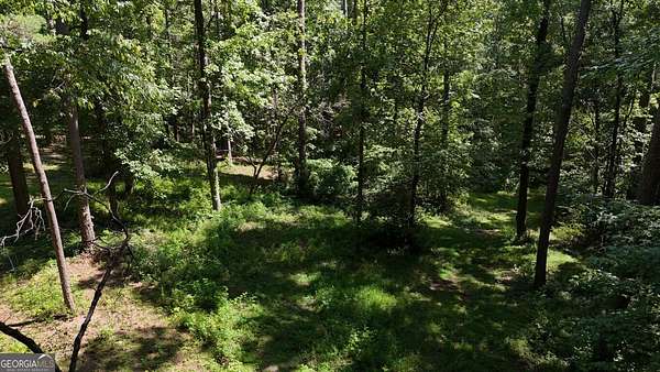 5.82 Acres of Residential Land for Sale in Sharpsburg, Georgia