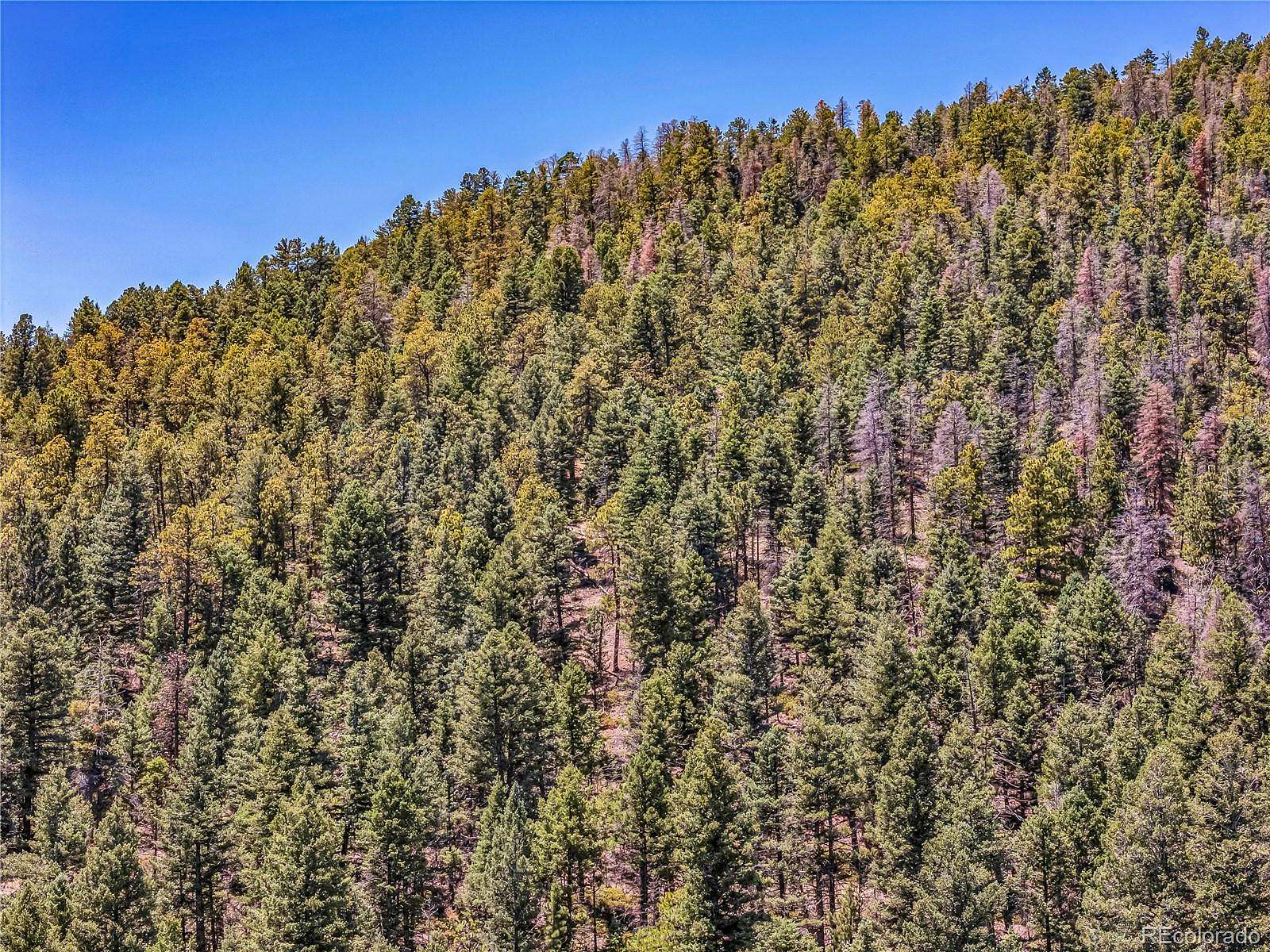 35.5 Acres of Recreational & Residential Land for Sale in Cañon City, Colorado