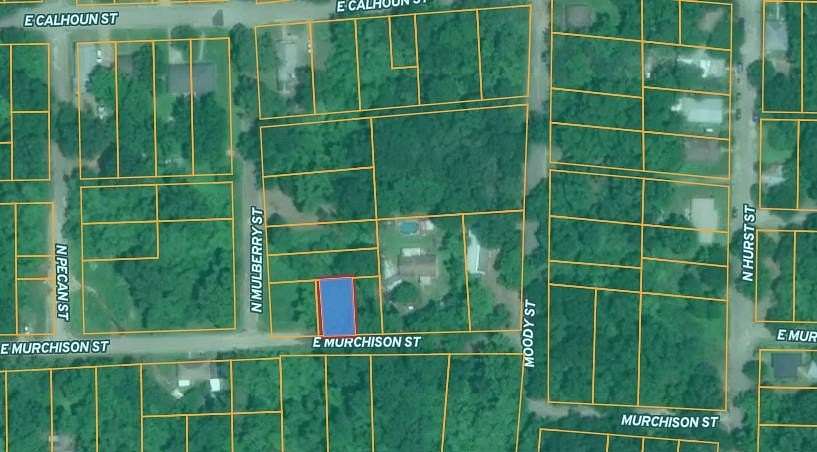 0.08 Acres of Land for Sale in Palestine, Texas