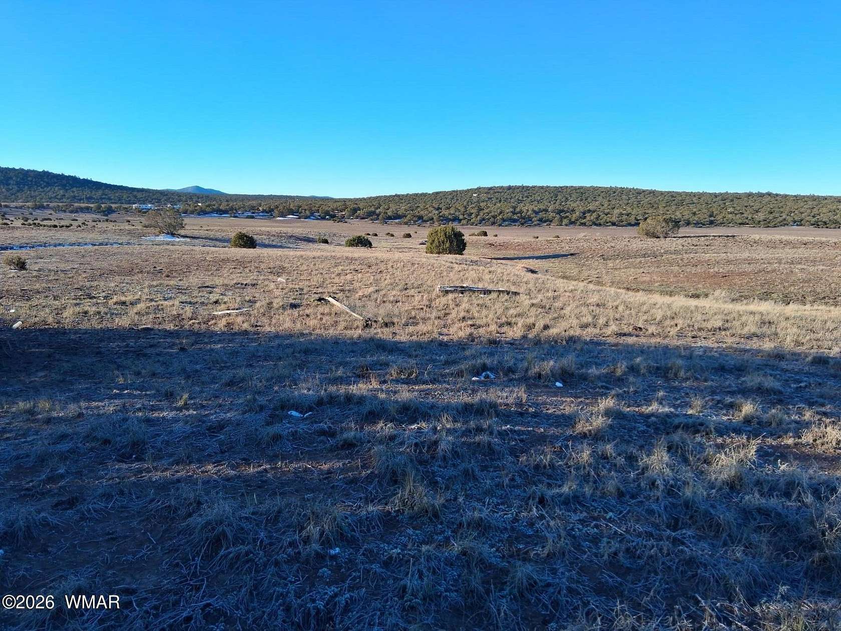 1.17 Acres of Residential Land for Sale in Concho, Arizona