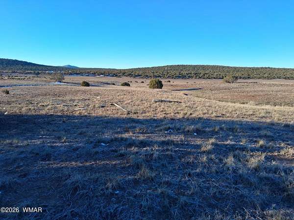 1.17 Acres of Residential Land for Sale in Concho, Arizona
