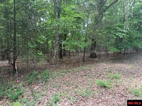 2 Acres of Residential Land for Sale in Clarkridge, Arkansas