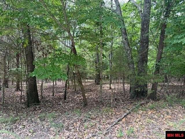 2.1 Acres of Residential Land for Sale in Clarkridge, Arkansas