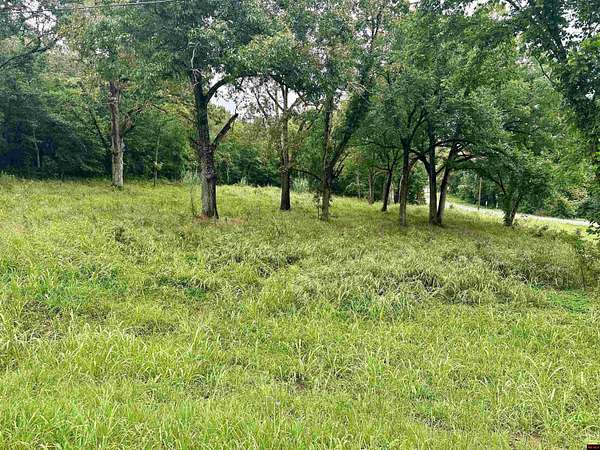 2 Acres of Land for Sale in Yellville, Arkansas