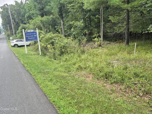 24 Acres of Land for Sale in Nassau, New York