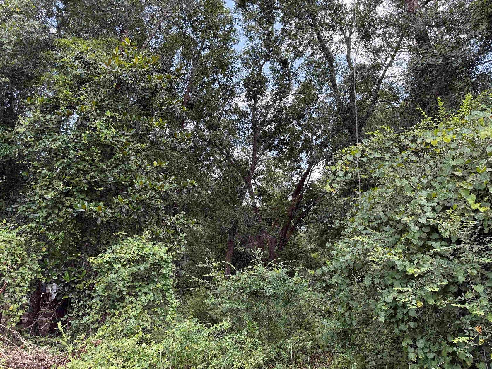 0.48 Acres of Land for Sale in Tallahassee, Florida