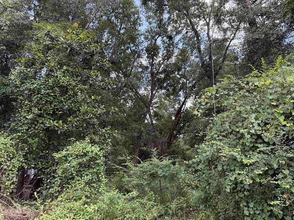 0.48 Acres of Land for Sale in Tallahassee, Florida