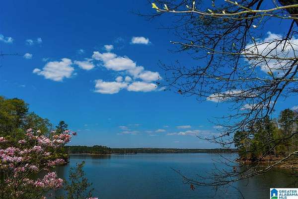 3.54 Acres of Residential Land for Sale in Wedowee, Alabama