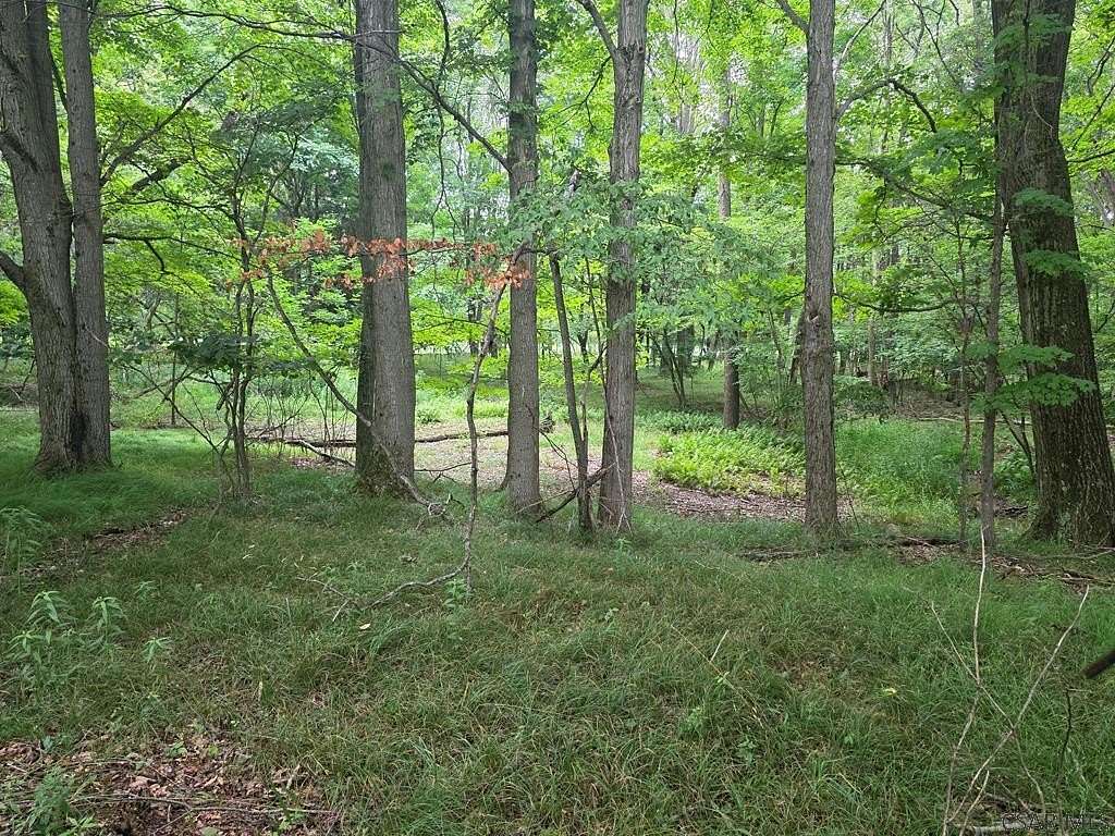 0.34 Acres of Residential Land for Sale in Central City, Pennsylvania