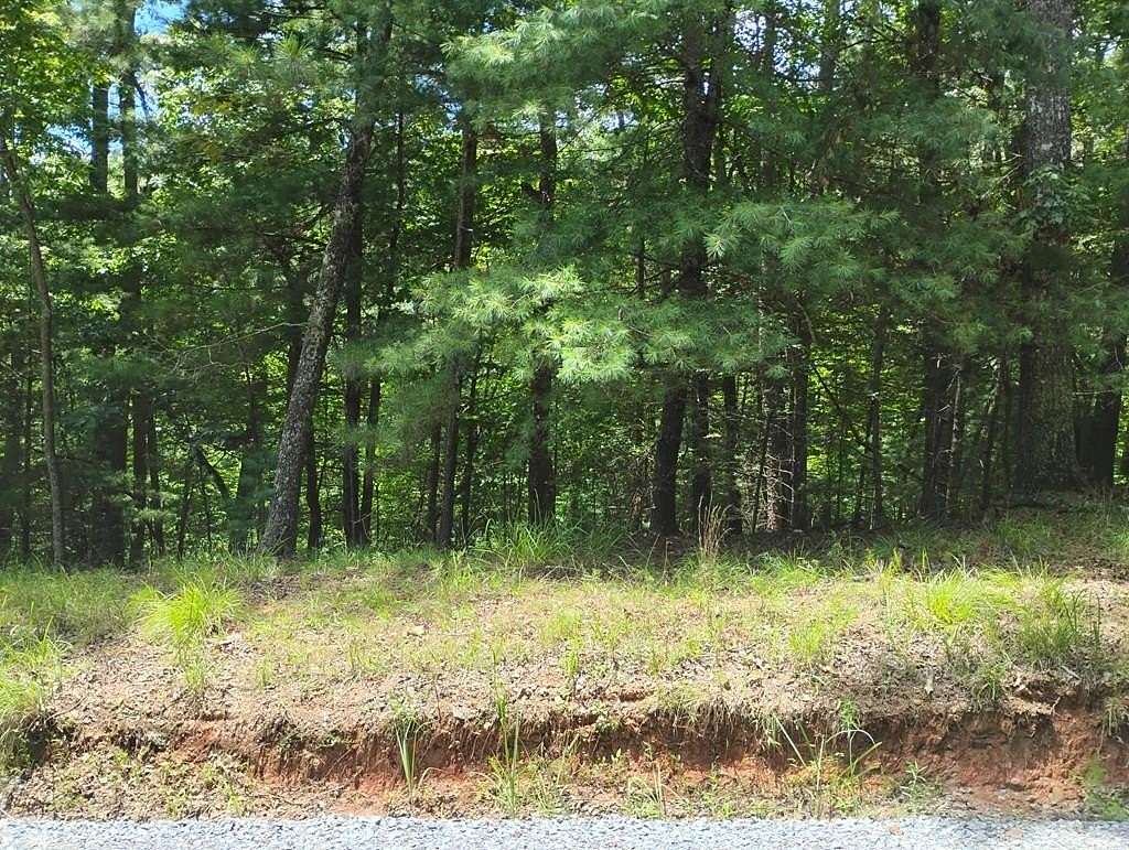 0.69 Acres of Residential Land for Sale in Ellijay, Georgia