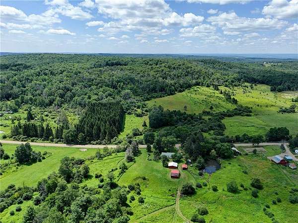 113 Acres of Recreational Land for Sale in Angelica, New York