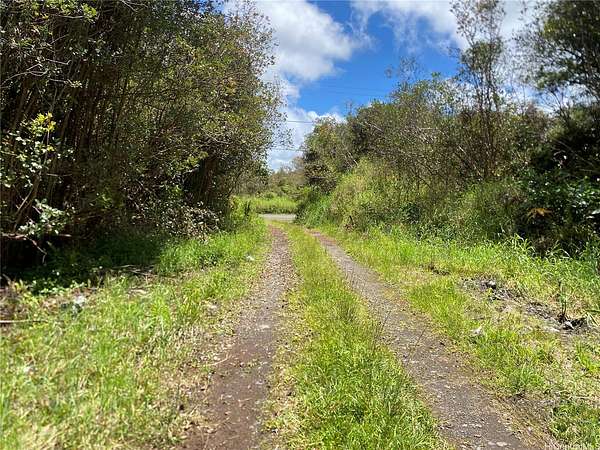 Land for Sale in Volcano, Hawaii