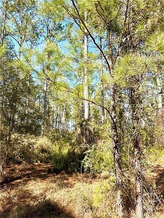 1.36 Acres of Residential Land for Sale in Townsend, Georgia