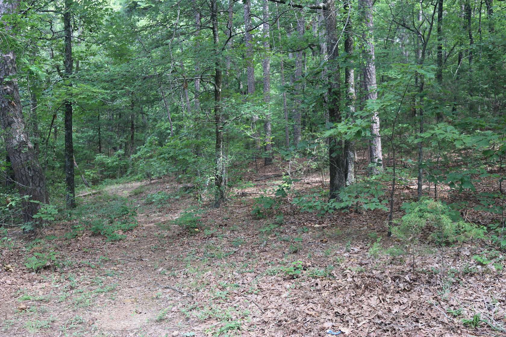 4.26 Acres of Land for Sale in Bee Branch, Arkansas