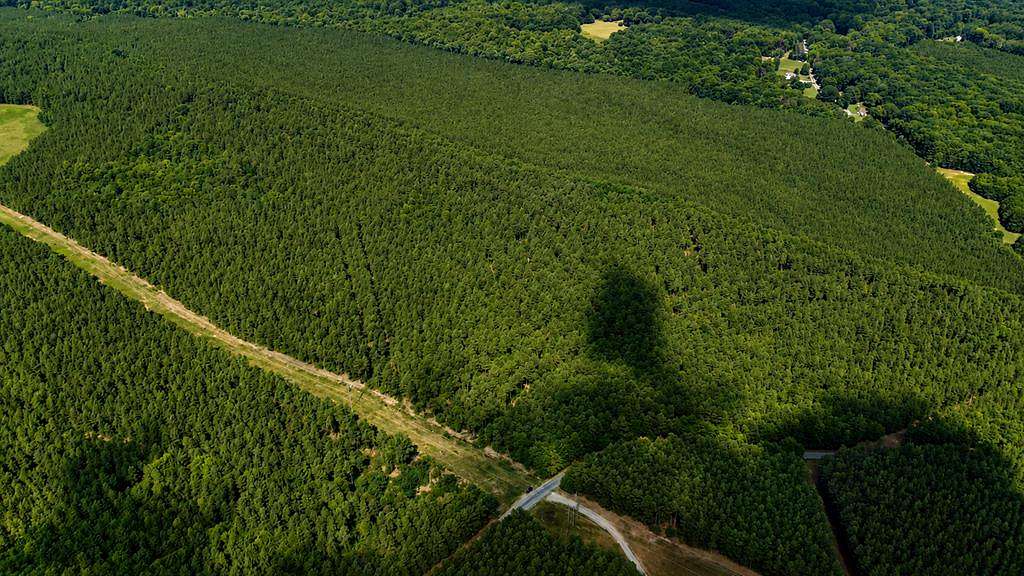 108 Acres of Land for Sale in Lynch Station, Virginia