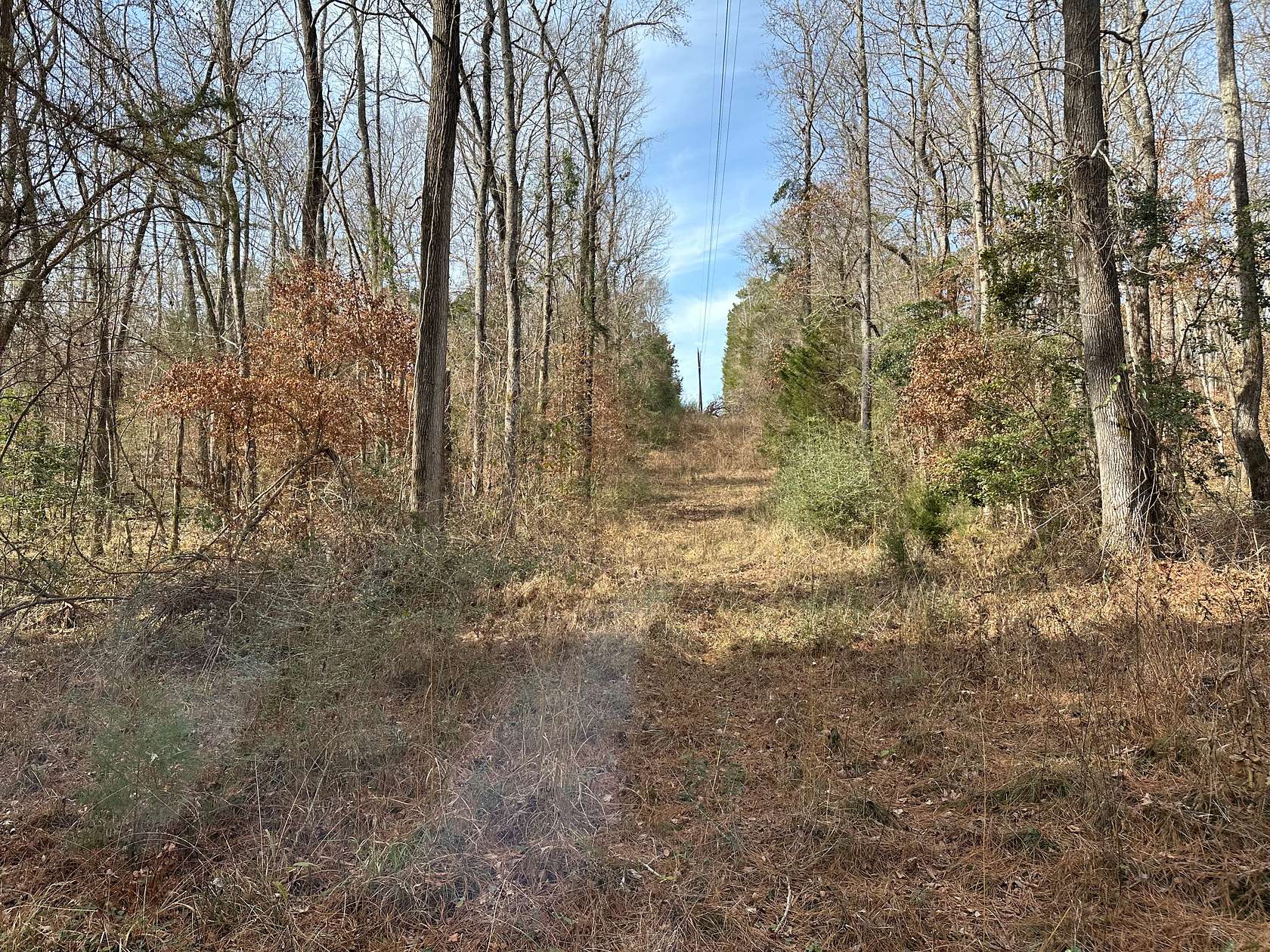 20.1 Acres of Land for Sale in Alto, Texas