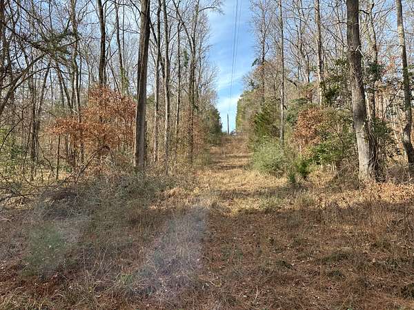 20.1 Acres of Land for Sale in Alto, Texas
