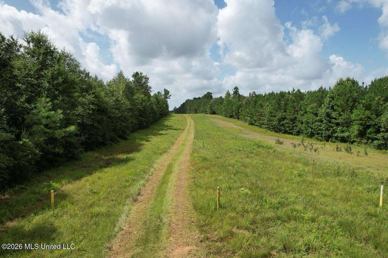 26 Acres of Land for Sale in Greensburg, Louisiana