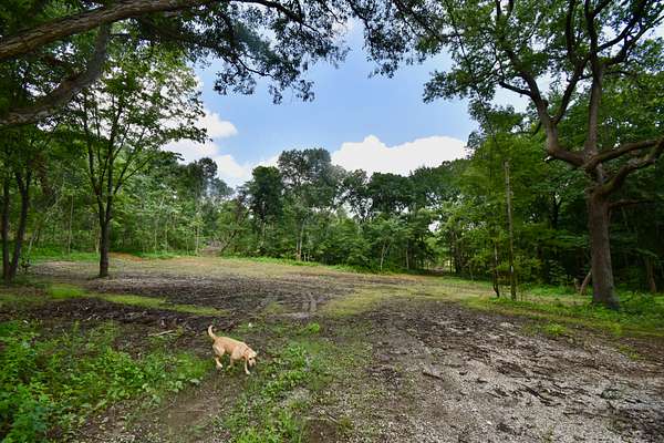 18 Acres of Land for Sale in Tennyson, Indiana