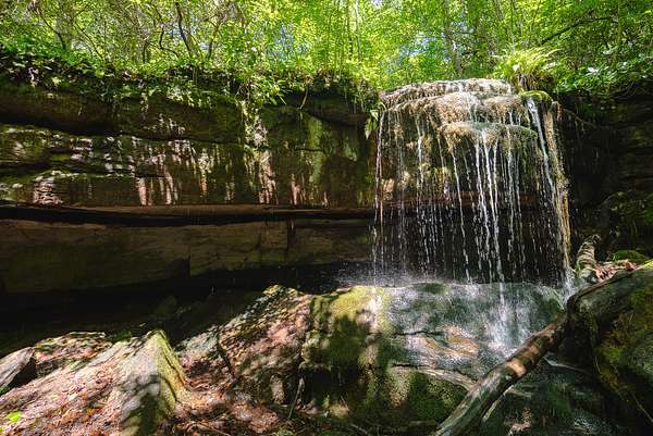 85.6 Acres of Agricultural & Residential Land for Sale in Elliston, Virginia