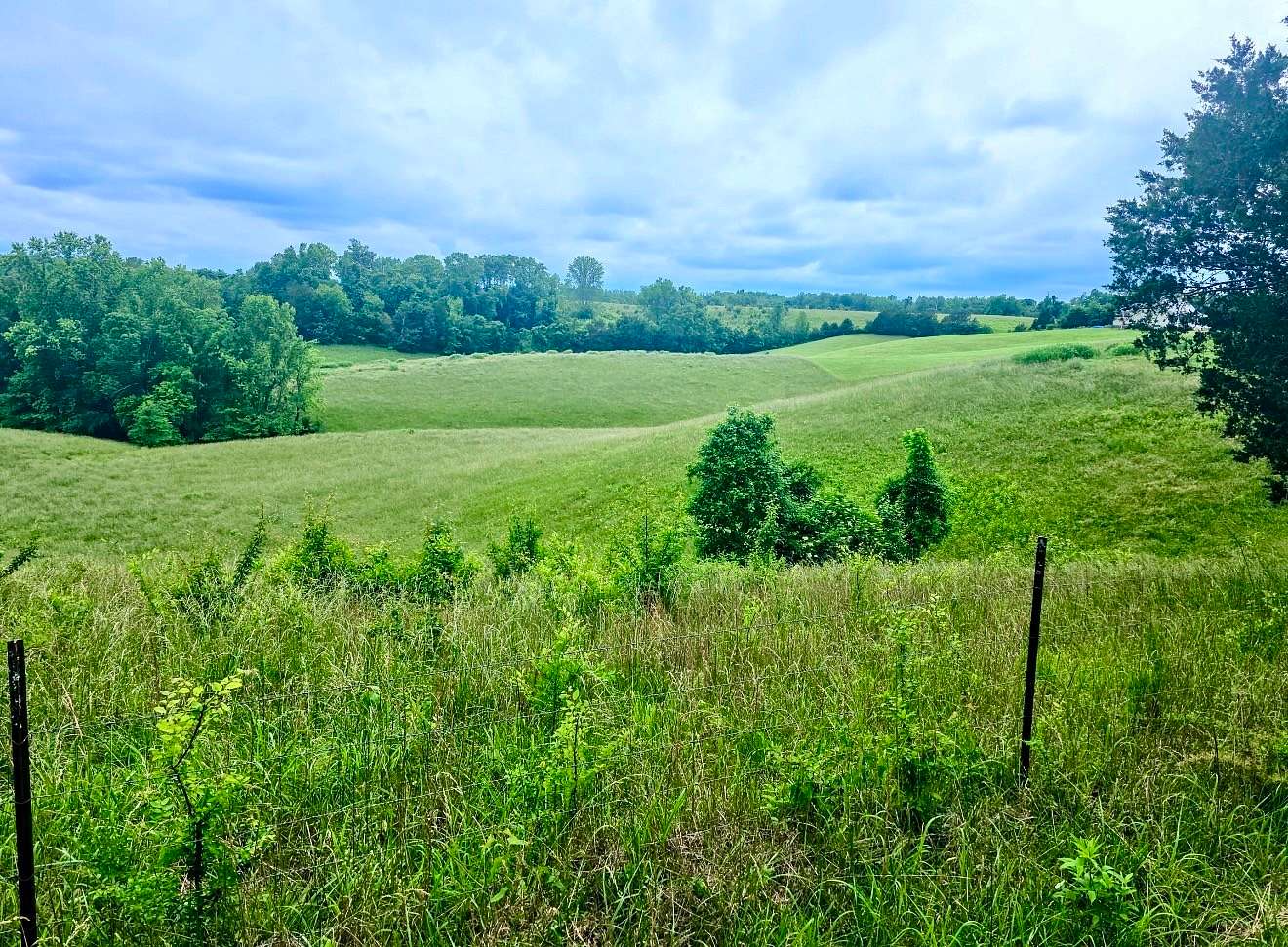 5 Acres of Residential Land for Sale in Smithville, Tennessee