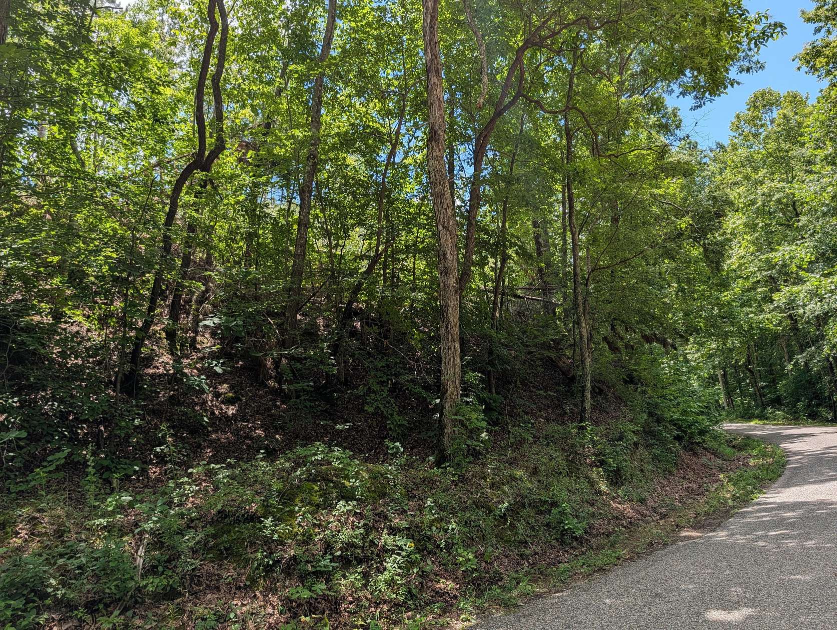 18.5 Acres of Land for Sale in Linden, Tennessee