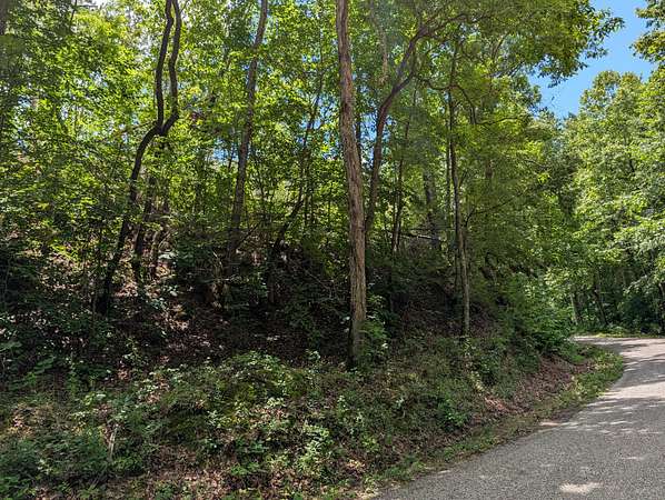 18.5 Acres of Land for Sale in Linden, Tennessee