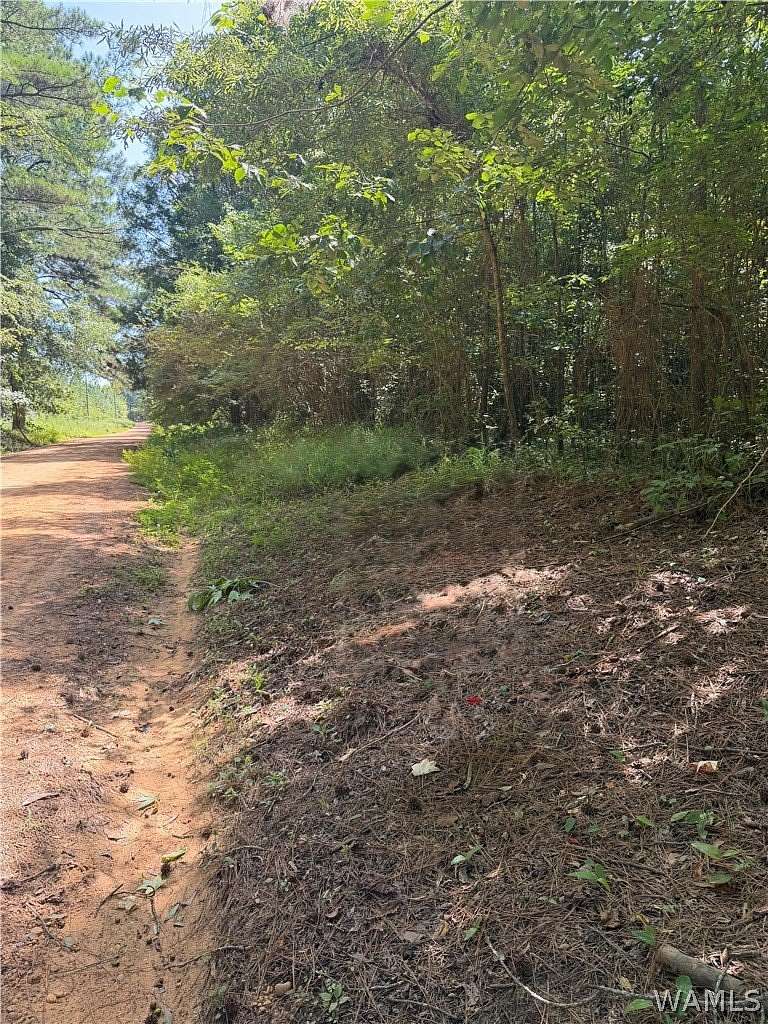11 Acres of Recreational & Residential Land for Sale in Greensboro, Alabama