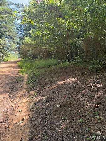 11 Acres of Recreational & Residential Land for Sale in Greensboro, Alabama
