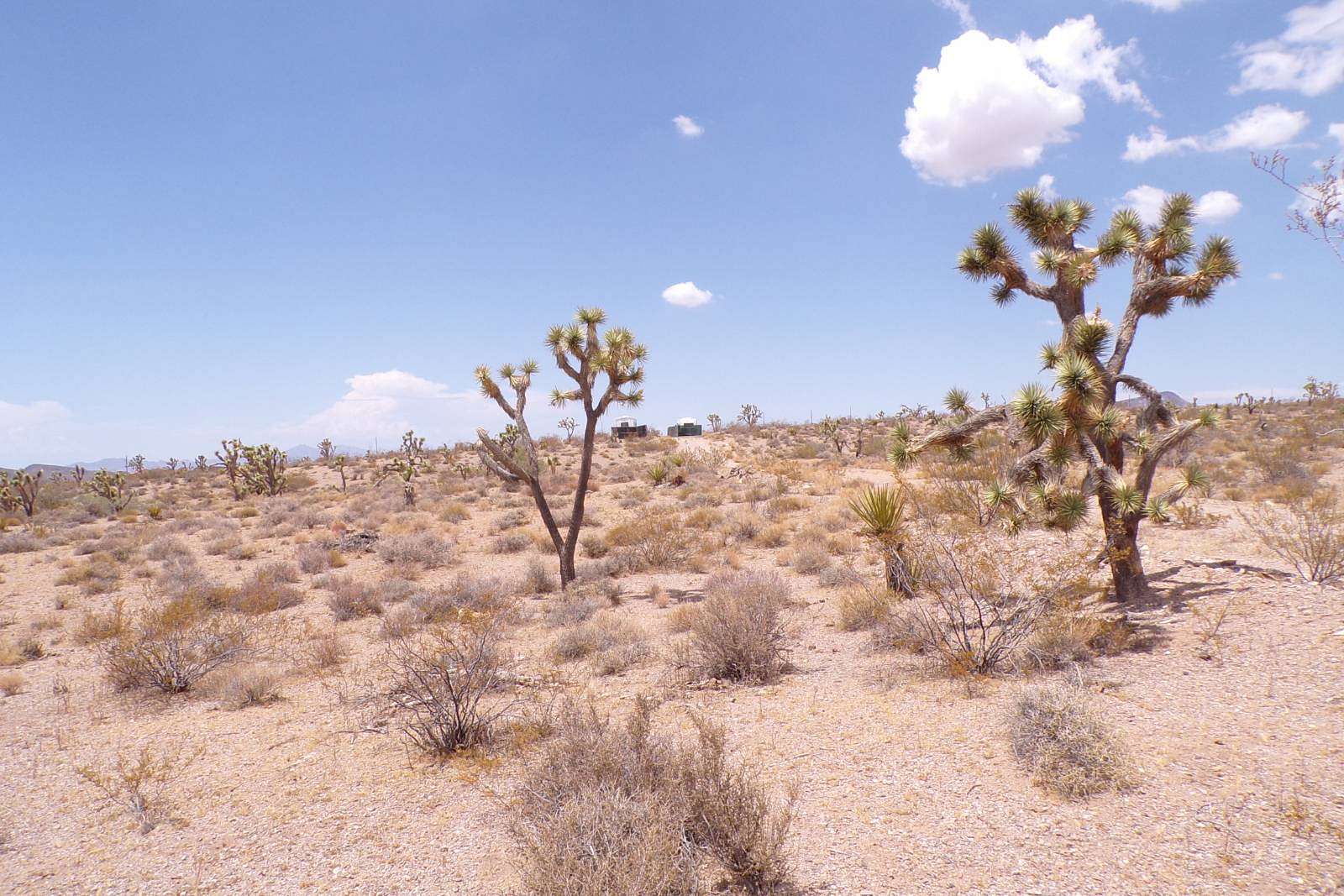 5 Acres of Residential Land for Sale in White Hills, Arizona