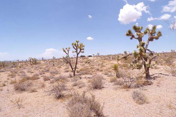5 Acres of Residential Land for Sale in White Hills, Arizona