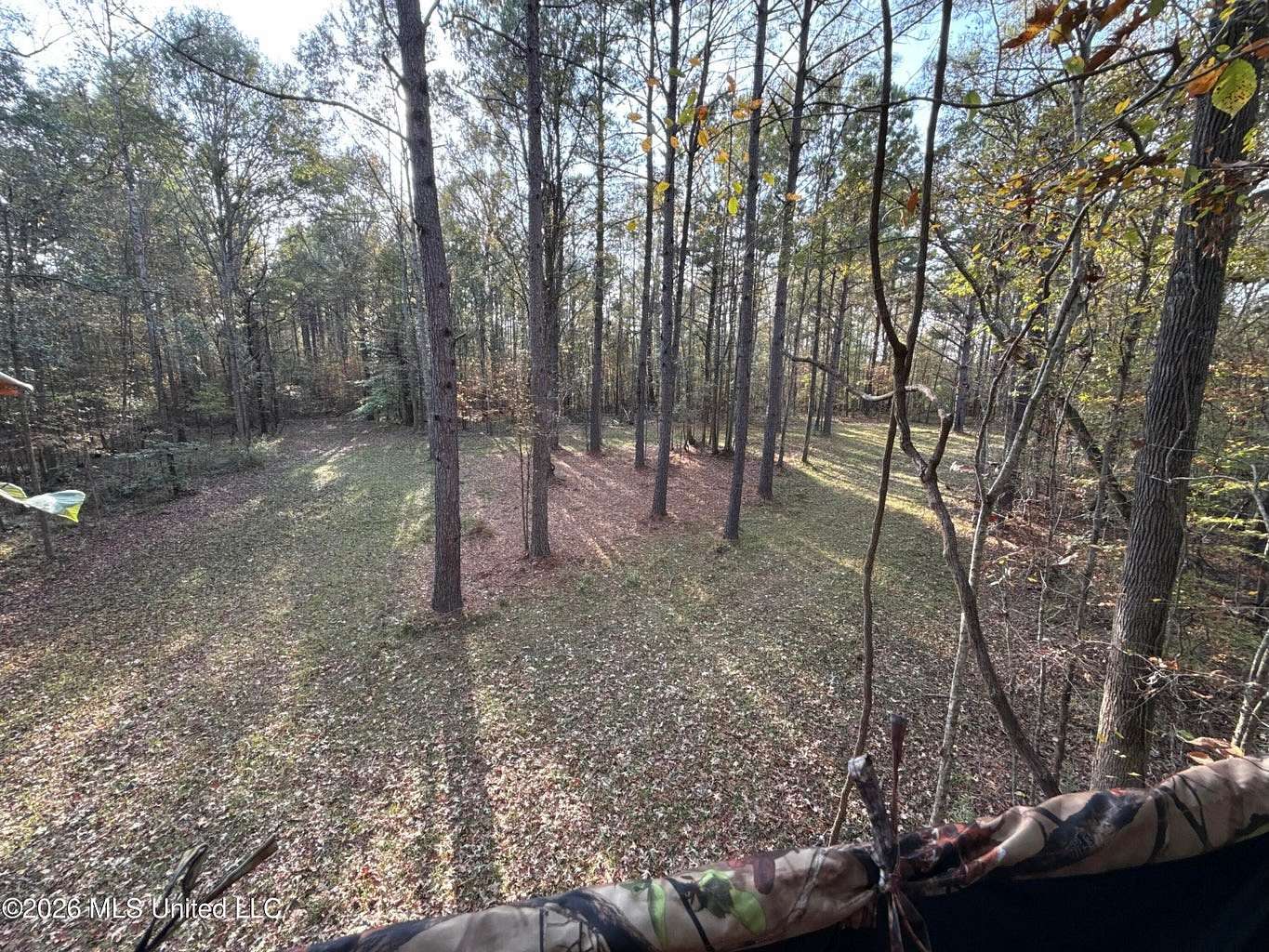 96 Acres of Land for Sale in Roxie, Mississippi
