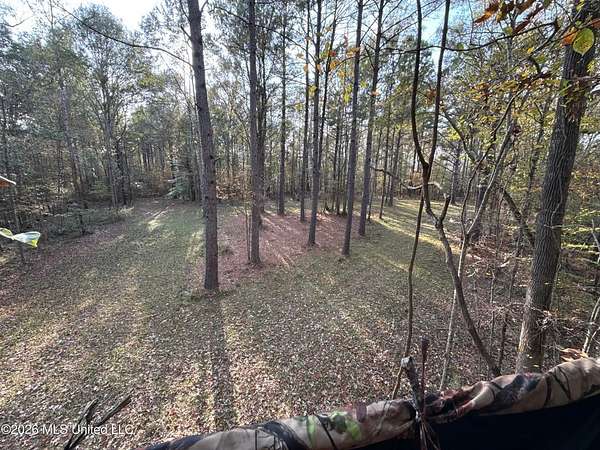 96 Acres of Land for Sale in Roxie, Mississippi