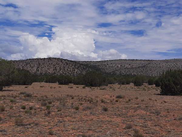 1.25 Acres of Land for Sale in Seligman, Arizona