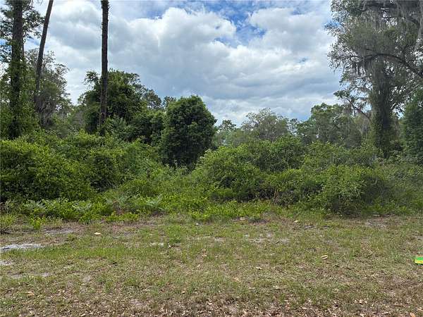 0.21 Acres of Residential Land for Sale in Ocklawaha, Florida