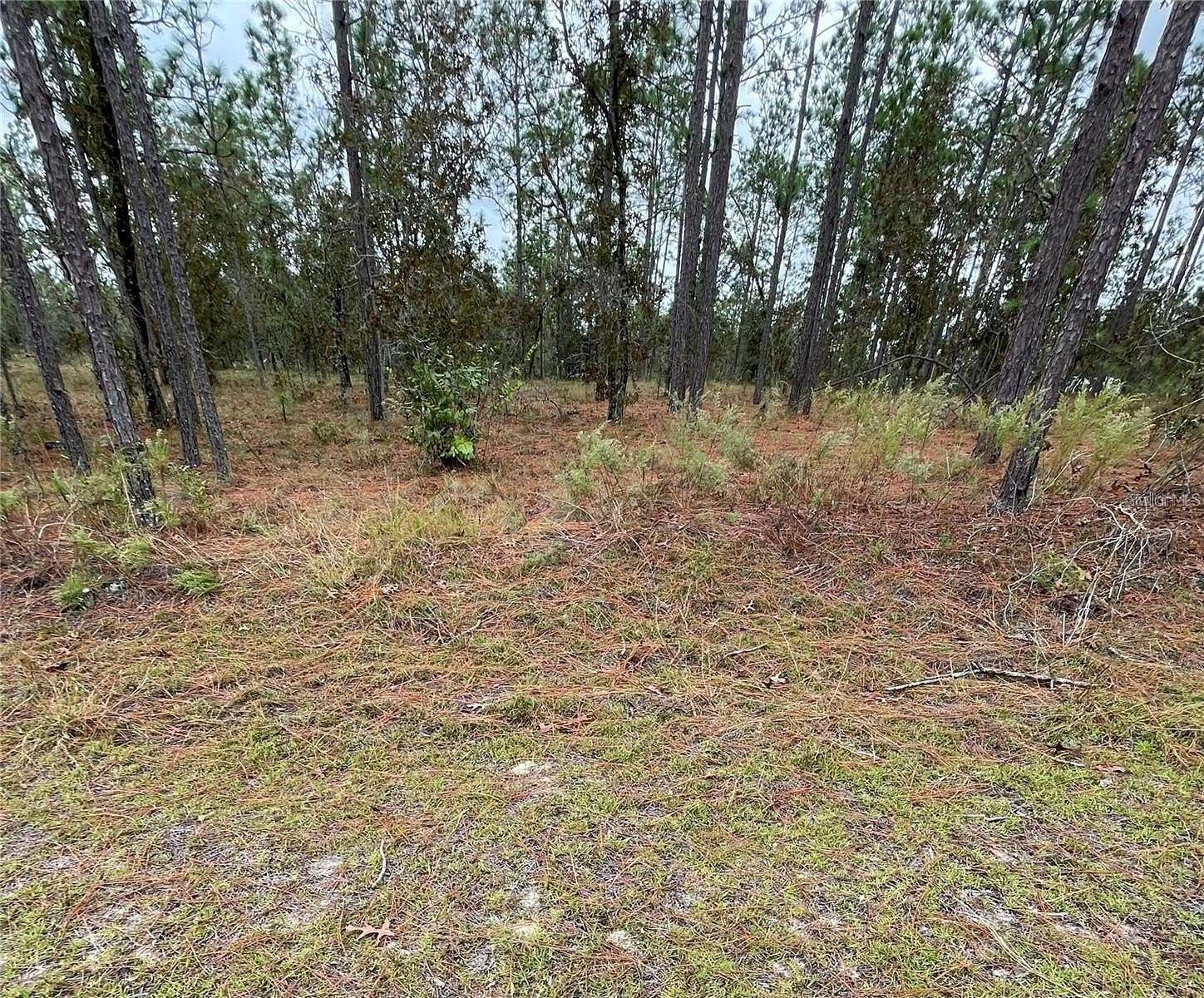 0.25 Acres of Residential Land for Sale in Dunnellon, Florida
