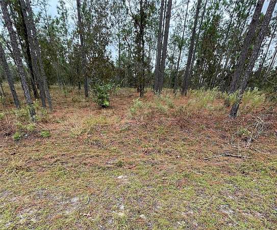 0.25 Acres of Residential Land for Sale in Dunnellon, Florida