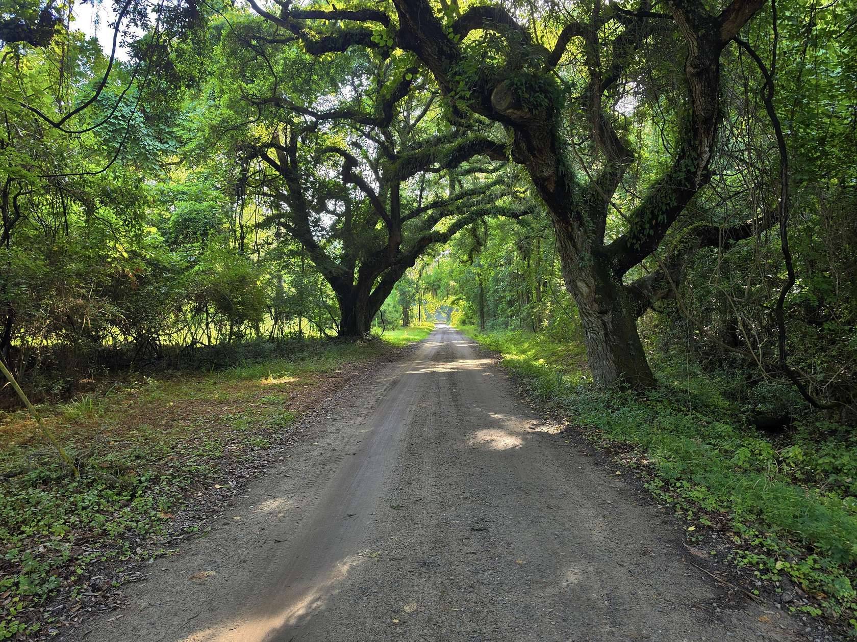 0.26 Acres of Residential Land for Sale in McClellanville, South Carolina