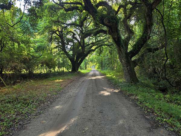 0.26 Acres of Residential Land for Sale in McClellanville, South Carolina