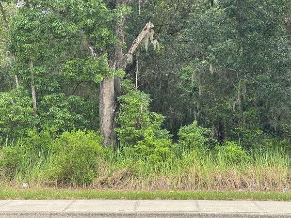 4 Acres of Residential Land for Sale in Ocala, Florida