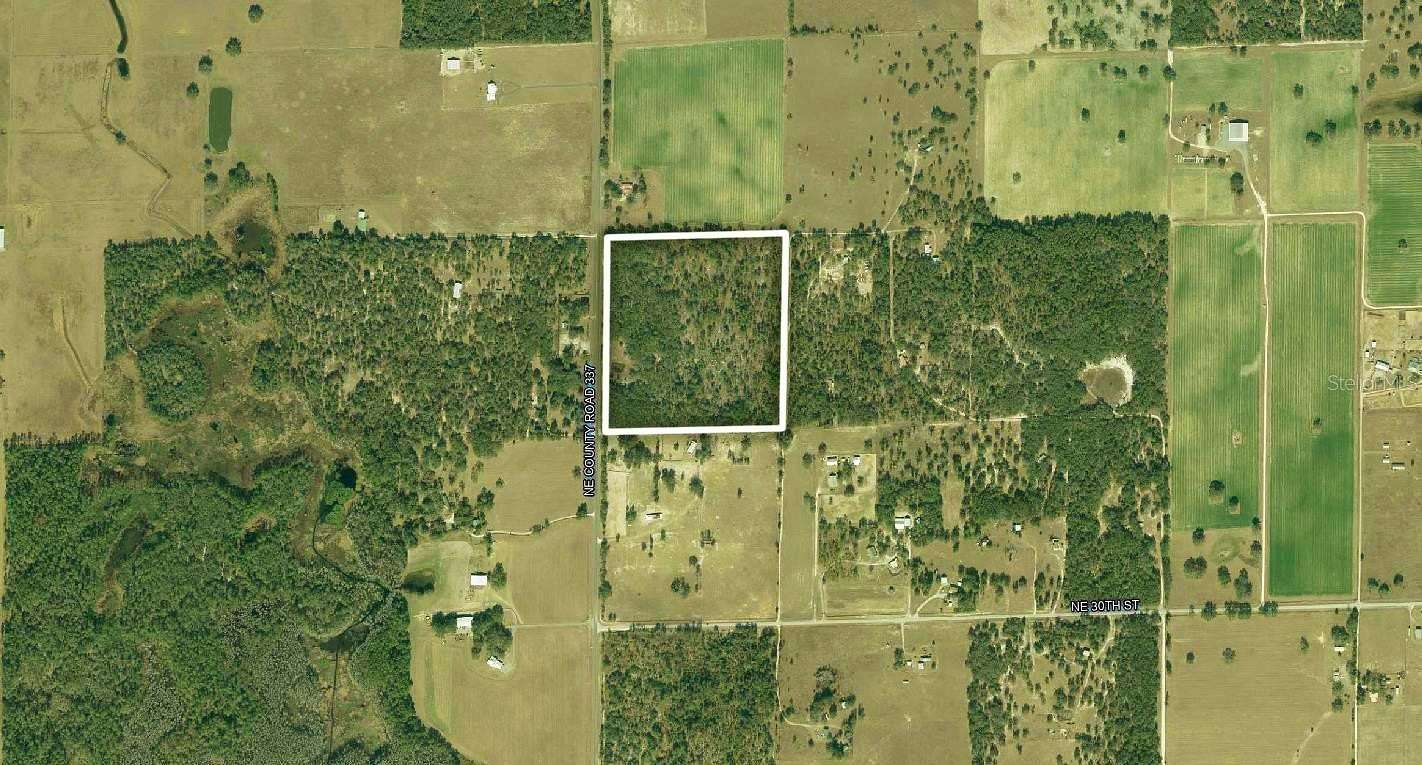 40 Acres of Land for Sale in Bronson, Florida