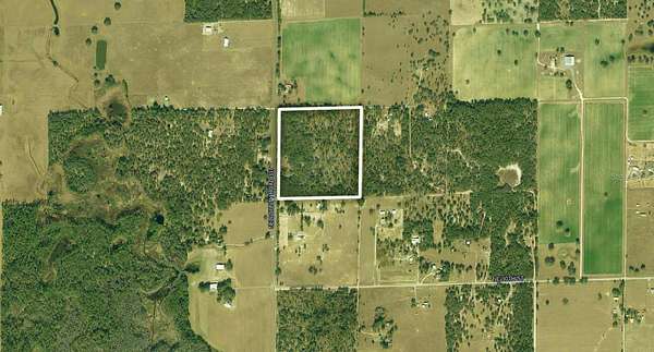 40 Acres of Land for Sale in Bronson, Florida