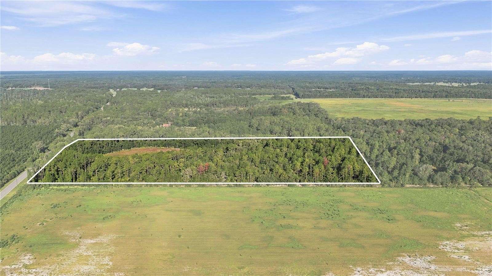 20 Acres of Land for Sale in Citra, Florida