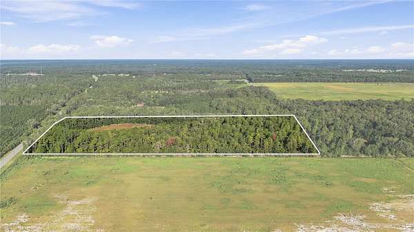 20 Acres of Land for Sale in Citra, Florida