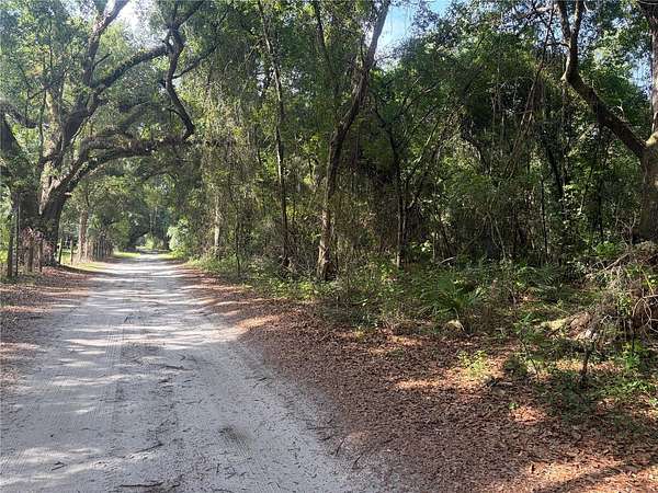 12.7 Acres of Land for Sale in Webster, Florida