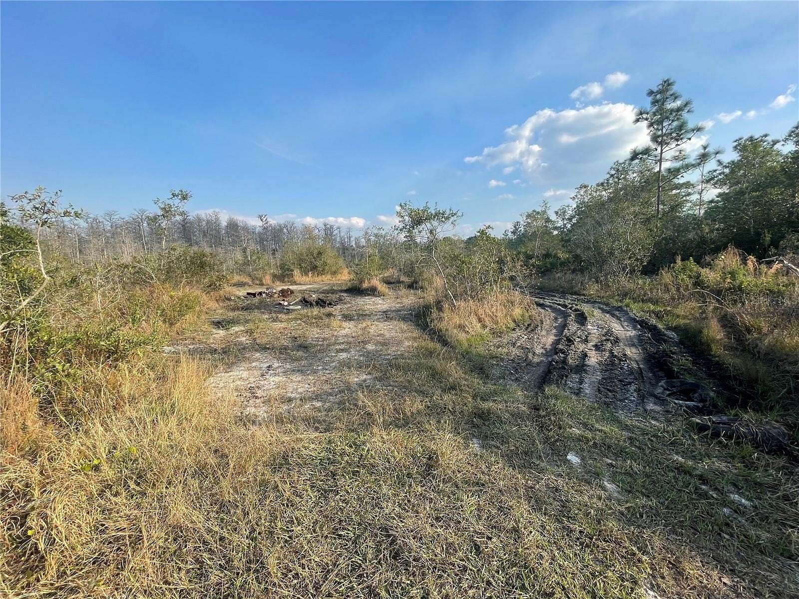 1.25 Acres of Land for Sale in St. Cloud, Florida