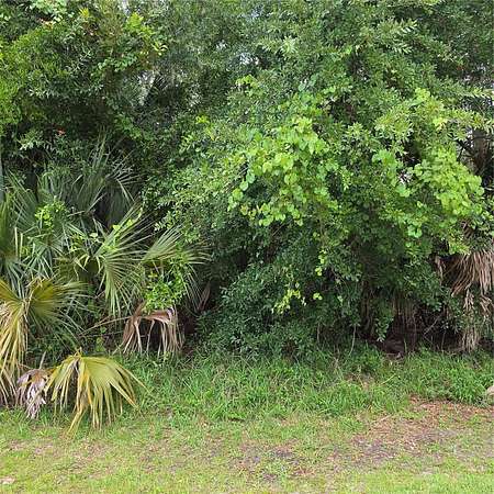 0.18 Acres of Residential Land for Sale in Palm Coast, Florida