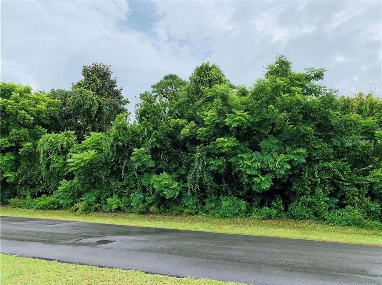 0.23 Acres of Residential Land for Sale in Deltona, Florida