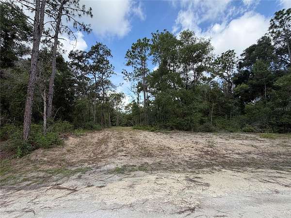 1.16 Acres of Residential Land for Sale in Webster, Florida